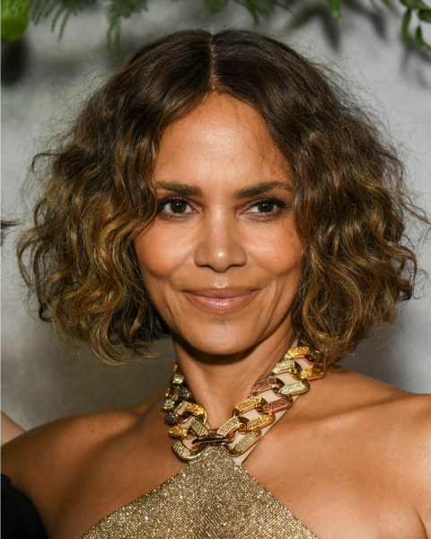 Curly ripped chinlength bob with honeycolored highlights on Halle Berry.
